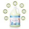 imageGinger Lily Farms Botanicals Moisturizing Shampoo for All Hair Types Champagne Mimosa 100 Vegan amp CrueltyFree Citrus Blend Scent 1 Gallon 128 fl oz RefillIsland Tranquility
