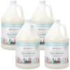 imageGinger Lily Farms Botanicals Moisturizing Shampoo for All Hair Types Champagne Mimosa 100 Vegan amp CrueltyFree Citrus Blend Scent 1 Gallon 128 fl oz RefillCucumber Mint Bliss