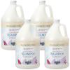 imageGinger Lily Farms Botanicals Moisturizing Shampoo for All Hair Types Champagne Mimosa 100 Vegan amp CrueltyFree Citrus Blend Scent 1 Gallon 128 fl oz RefillFragrance Free
