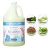 imageGinger Lily Farms Botanicals Moisturizing Shampoo for All Hair Types Champagne Mimosa 100 Vegan amp CrueltyFree Citrus Blend Scent 1 Gallon 128 fl oz RefillIsland Tranquility