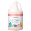 imageGinger Lily Farms Botanicals Moisturizing Shampoo for All Hair Types Champagne Mimosa 100 Vegan amp CrueltyFree Citrus Blend Scent 1 Gallon 128 fl oz RefillChampagne Mimosa