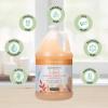 imageGinger Lily Farms Botanicals 3in1 Shampoo Conditioner amp Body Wash 100 Vegan amp CrueltyFree Fragrance Free 1 Gallon Pack of 4Coco Mango