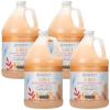 imageGinger Lily Farms Botanicals 3in1 Shampoo Conditioner amp Body Wash 100 Vegan amp CrueltyFree Fragrance Free 1 Gallon Pack of 4Coco Mango