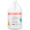 imageGinger Lily Farms Botanicals Moisturizing Conditioner for Dry Hair 100 Vegan amp CrueltyFree Apple Pear Scent 1 Gallon Pack of 4Apple Pear