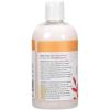 imageGinger Lily Farms Botanicals Moisturizing Conditioner for Dry Hair 100 Vegan amp CrueltyFree Apple Pear Scent 1 Gallon Pack of 4Coco Mango