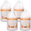 imageGinger Lily Farms Botanicals Moisturizing Conditioner for Dry Hair 100 Vegan amp CrueltyFree Apple Pear Scent 1 Gallon Pack of 4Coco Mango