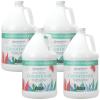 imageGinger Lily Farms Botanicals Moisturizing Conditioner for Dry Hair 100 Vegan amp CrueltyFree Apple Pear Scent 1 Gallon Pack of 4Eucalyptus Tranquility