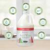 imageGinger Lily Farms Botanicals Nourishing Body Wash Eucalyptus Tranquility 100 Vegan amp CrueltyFree 1 Gallon 128 fl oz RefillApple Pear
