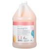 imageGinger Lily Farms Botanicals Nourishing Body Wash Eucalyptus Tranquility 100 Vegan amp CrueltyFree 1 Gallon 128 fl oz RefillChampagne Mimosa