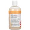 imageGinger Lily Farms Botanicals Nourishing Body Wash Eucalyptus Tranquility 100 Vegan amp CrueltyFree 1 Gallon 128 fl oz RefillCoco Mango