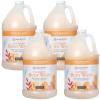 imageGinger Lily Farms Botanicals Nourishing Body Wash Eucalyptus Tranquility 100 Vegan amp CrueltyFree 1 Gallon 128 fl oz RefillCoco Mango
