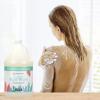 imageGinger Lily Farms Botanicals Nourishing Body Wash Eucalyptus Tranquility 100 Vegan amp CrueltyFree 1 Gallon 128 fl oz RefillEucalyptus Tranquility