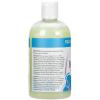 imageGinger Lily Farms Botanicals Nourishing Body Wash Eucalyptus Tranquility 100 Vegan amp CrueltyFree 1 Gallon 128 fl oz RefillIsland Tranquility