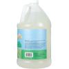 imageGinger Lily Farms Botanicals PlantBased 4In1 Dishwasher Rinse Aid 100 Vegan amp CrueltyFree Fragrance Free 1 Gallon Pack of 4Fragrance Free
