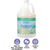 imageGinger Lily Farms Botanicals PlantBased Dishwasher Detergent Gel 100 Vegan amp CrueltyFree FragranceFree 1 Gallon Refill Pack of 4Basil