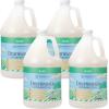 imageGinger Lily Farms Botanicals PlantBased Dishwasher Detergent Gel 100 Vegan amp CrueltyFree FragranceFree 1 Gallon Refill Pack of 4Basil