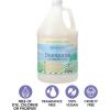 imageGinger Lily Farms Botanicals PlantBased Dishwasher Detergent Gel 100 Vegan amp CrueltyFree FragranceFree 1 Gallon Refill Pack of 4Fragrance Free