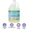 imageGinger Lily Farms Botanicals PlantBased Foaming Spray Dish Soap Concentrated Formula with Max Grease Cleaning Power CrueltyFree Basil Scent 1 Gallon Pack of 4Basil