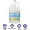 imageGinger Lily Farms Botanicals PlantBased Foaming Spray Dish Soap Concentrated Formula with Max Grease Cleaning Power CrueltyFree Basil Scent 1 Gallon Pack of 4Fragrance Free