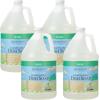 imageGinger Lily Farms Botanicals PlantBased Foaming Spray Dish Soap Concentrated Formula with Max Grease Cleaning Power CrueltyFree Basil Scent 1 Gallon Pack of 4Basil