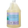 imageGinger Lily Farms Botanicals PlantBased Liquid Dish Soap Concentrated Formula with Max Grease Cleaning Power CrueltyFree Apple Pear Scent 24 Fl OzLavender Chamomile