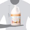 imageGinger Lily Farms Botanicals Soothing Butter Lotion for Dry Skin 100 Vegan amp CrueltyFree Lavender Chamomile Scent 1 Gallon Pack of 4Coco Mango