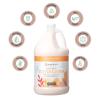 imageGinger Lily Farms Botanicals Soothing Butter Lotion for Dry Skin 100 Vegan amp CrueltyFree Lavender Chamomile Scent 1 Gallon Pack of 4Coco Mango