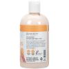 imageGinger Lily Farms Botanicals Soothing Butter Lotion for Dry Skin 100 Vegan amp CrueltyFree Lavender Chamomile Scent 1 Gallon Pack of 4Coco Mango