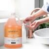 imageGinger Lily Farms Club amp Fitness Conditioning Liquid Hand Soap Refill 100 Vegan amp CrueltyFree Citrus Scent 1 Gallon Pack of 4Citrus
