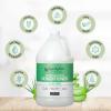 imageGinger Lily Farms Club amp Fitness Moisturizing Conditioner for Dry Hair 100 Vegan amp CrueltyFree Fragrance Free 1 Gallon Pack of 4Aloe Vera