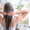 imageGinger Lily Farms Club amp Fitness Moisturizing Conditioner for Dry Hair 100 Vegan amp CrueltyFree Fragrance Free 1 Gallon Pack of 4Fragrance Free