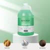 imageGinger Lily Farms Club amp Fitness Moisturizing Shampoo for All Hair Types 100 Vegan amp CrueltyFree Rain Water Scent 1 Gallon Pack of 4Aloe Vera