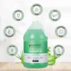 imageGinger Lily Farms Club amp Fitness Moisturizing Shampoo for All Hair Types 100 Vegan amp CrueltyFree Rain Water Scent 1 Gallon Pack of 4Aloe Vera