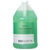 imageGinger Lily Farms Club amp Fitness Moisturizing Shampoo for All Hair Types 100 Vegan amp CrueltyFree Rain Water Scent 1 Gallon Pack of 4Aloe Vera