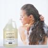 imageGinger Lily Farms Club amp Fitness Moisturizing Shampoo for All Hair Types 100 Vegan amp CrueltyFree Rain Water Scent 1 Gallon Pack of 4Fragrance Free
