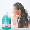 imageGinger Lily Farms Club amp Fitness Moisturizing Shampoo for All Hair Types 100 Vegan amp CrueltyFree Rain Water Scent 1 Gallon Pack of 4Ocean Breeze
