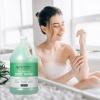 imageGinger Lily Farms Club amp Fitness Nourishing Body Wash 100 Vegan amp CrueltyFree Bath amp Shower Gel for Men and Women Fragrance Free 1 Gallon Pack of 4Aloe Vera