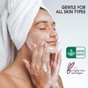 image:imageGinger Lily Farms Botanicals Pure Castile Liquid Soap Refill Peppermint Scent 1 Gallon AllPurpose Cleaner for Body Face Hair Dishes Laundry amp Pets 100 Vegan amp CrueltyFree Pack of 4Peppermint