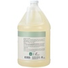 image:imageGinger Lily Farms Botanicals Pure Castile Liquid Soap Refill Peppermint Scent 1 Gallon AllPurpose Cleaner for Body Face Hair Dishes Laundry amp Pets 100 Vegan amp CrueltyFree Pack of 4Peppermint